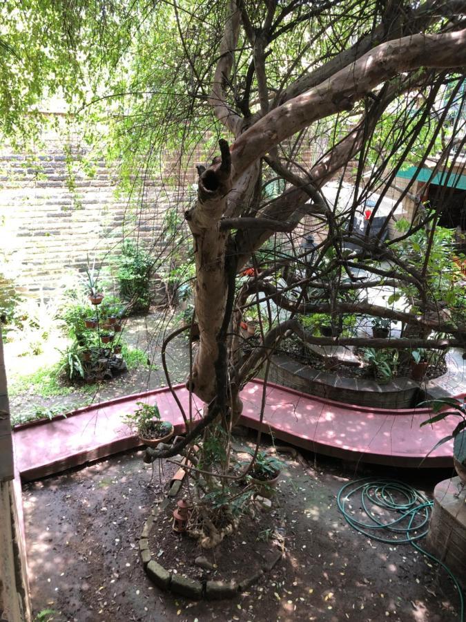 Casa Del Retono Bed & Breakfast Tlaquepaque Екстериор снимка